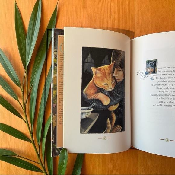 Cats Vanish Slowly by Ruth Tiller & Laura Seeley - 1995 Hardcover w/ Dust Jacket - Picture 9 of 12